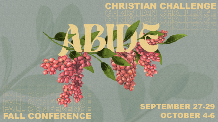 Featured image for “Young Adults Fall Conference”